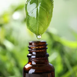 Ayurvedic_Medicines_at_Amaltas_Ayurveda_in_Delhi